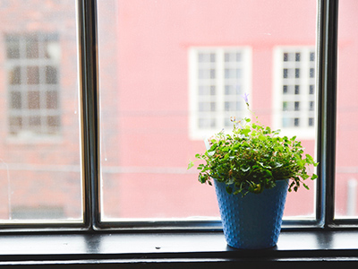 正版授权可靠的DDOS网页端平台